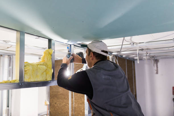 Best Insulation Installation Services in Sturgis, SD