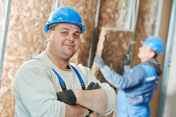 Best Residential Insulation in Sturgis, SD